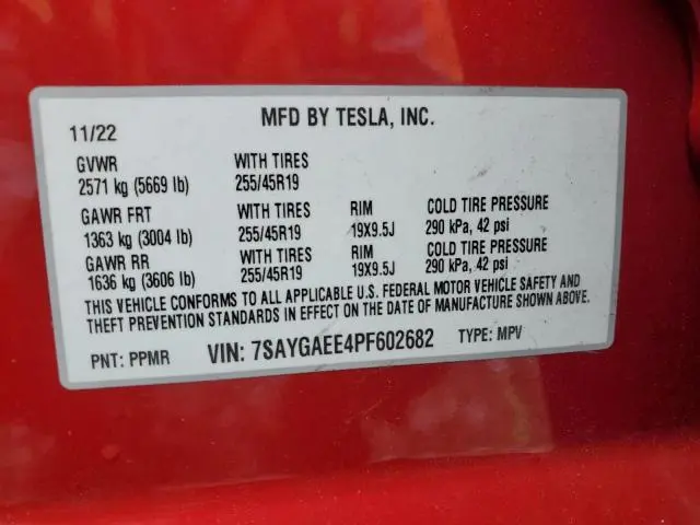2023 TESLA MODEL Y   