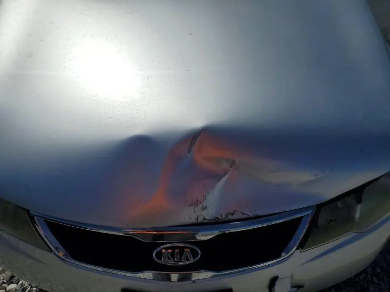 2013 KIA FORTE EX  