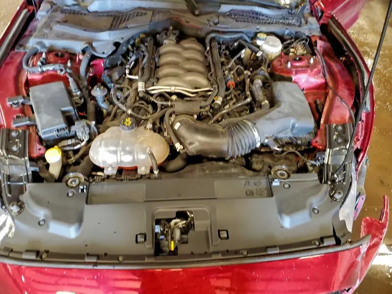 2019 FORD MUSTANG GT  