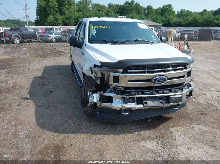 2019 FORD F-150 XLT