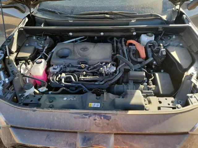 2025 TOYOTA RAV4 XSE  