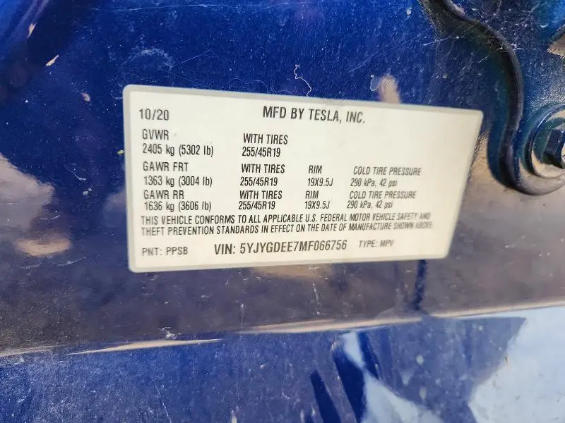 2021 TESLA MODEL Y   