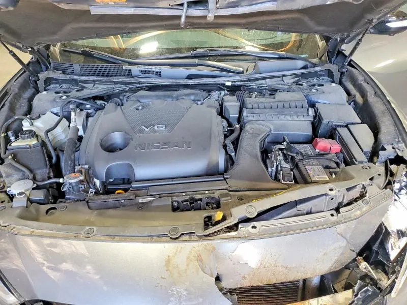 2023 NISSAN MAXIMA SR  