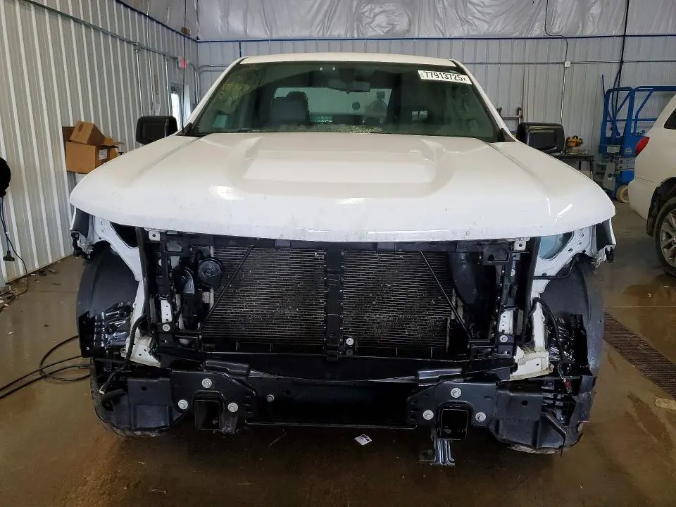 2019 CHEVROLET SILVERADO C1500  