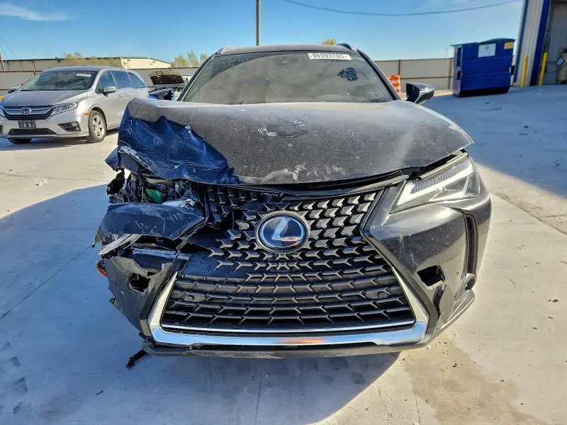 2019 LEXUS UX 250H  