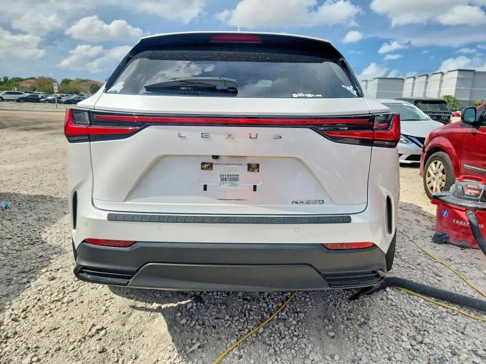 2022 LEXUS NX 250  