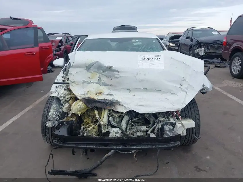 2019 VOLKSWAGEN GOLF GTI 2.0T AUTOBAHN/2.0T RABBIT EDITION/2.0T S/2.0T SE