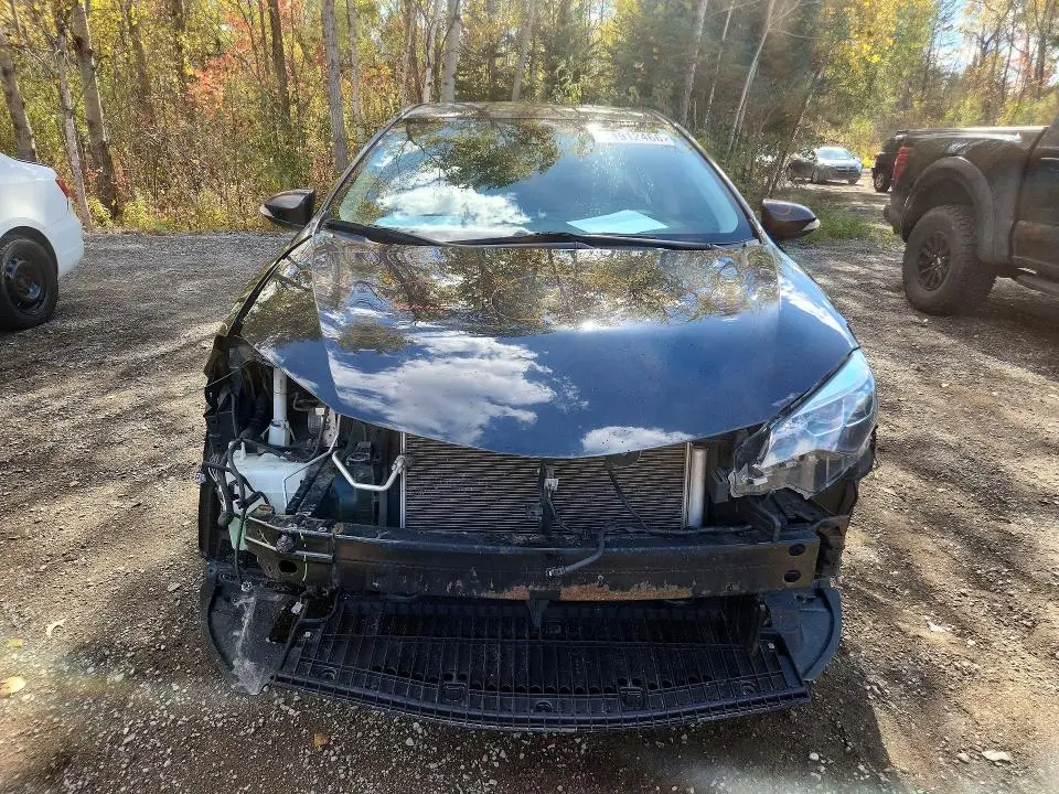 2019 TOYOTA COROLLA L  