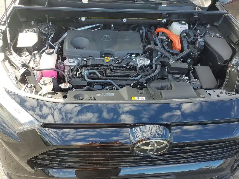 2025 TOYOTA RAV4 SE  