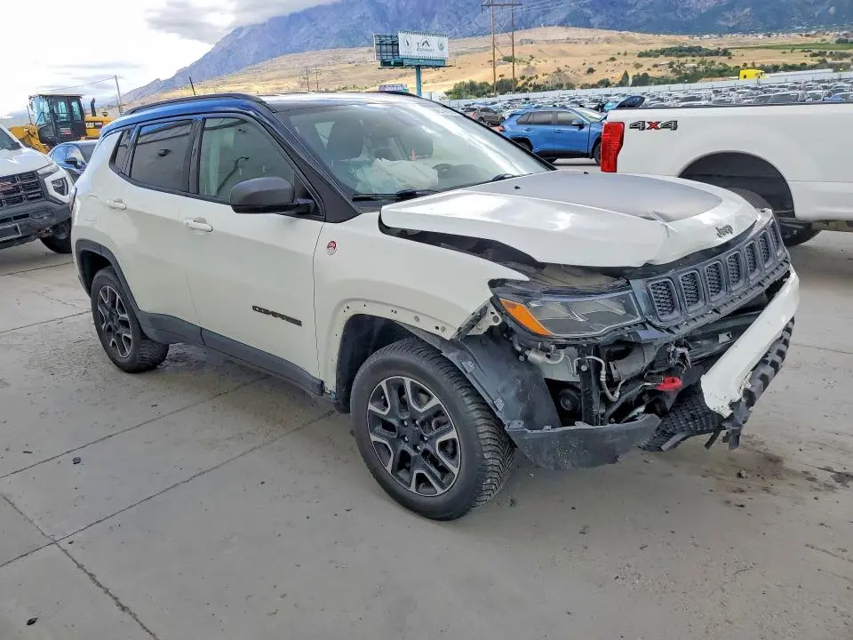 2019 JEEP COMPASS TRAILHAWK  