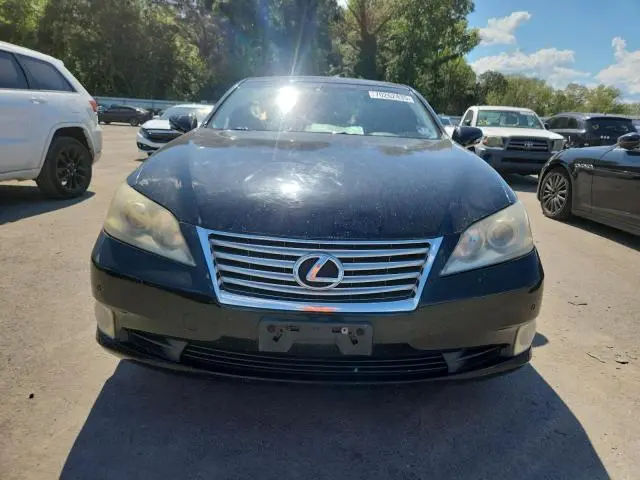 2010 LEXUS ES 350  