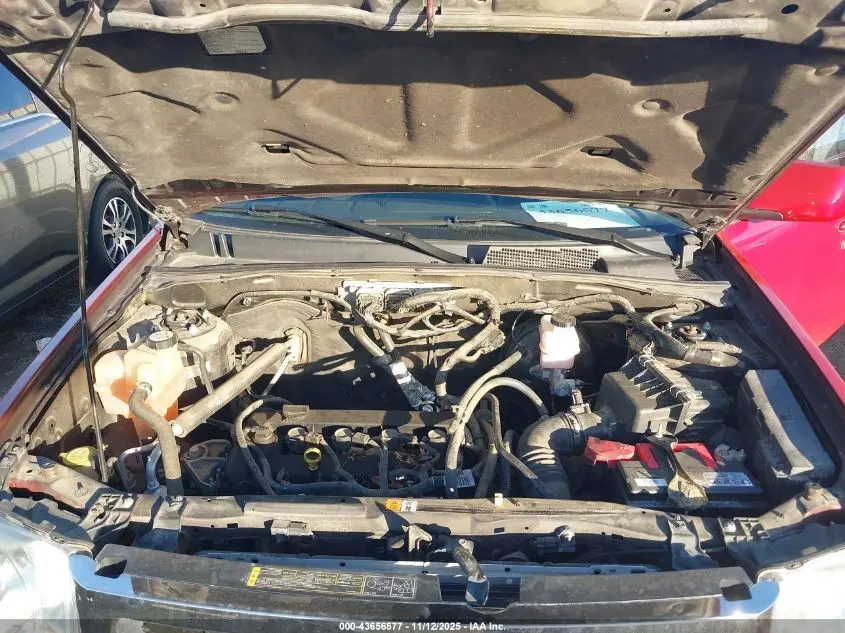 2010 FORD ESCAPE LIMITED