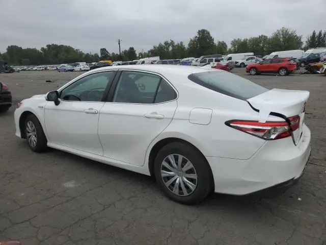2019 TOYOTA CAMRY LE  