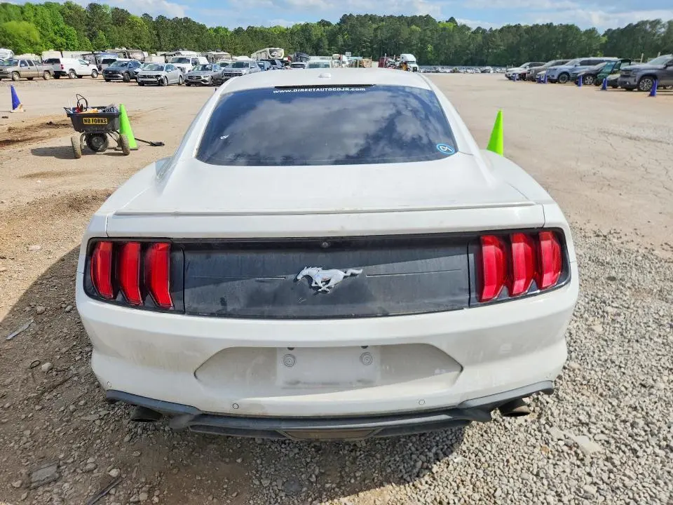 2019 FORD MUSTANG   