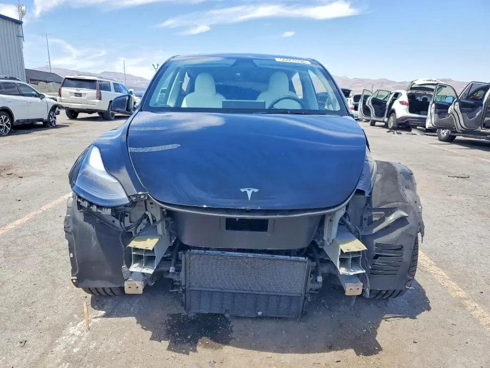 2025 TESLA MODEL Y   