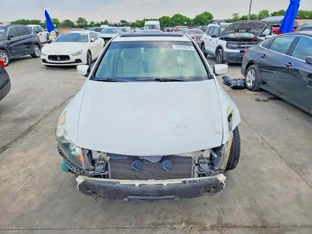 2010 HONDA ACCORD EXL  