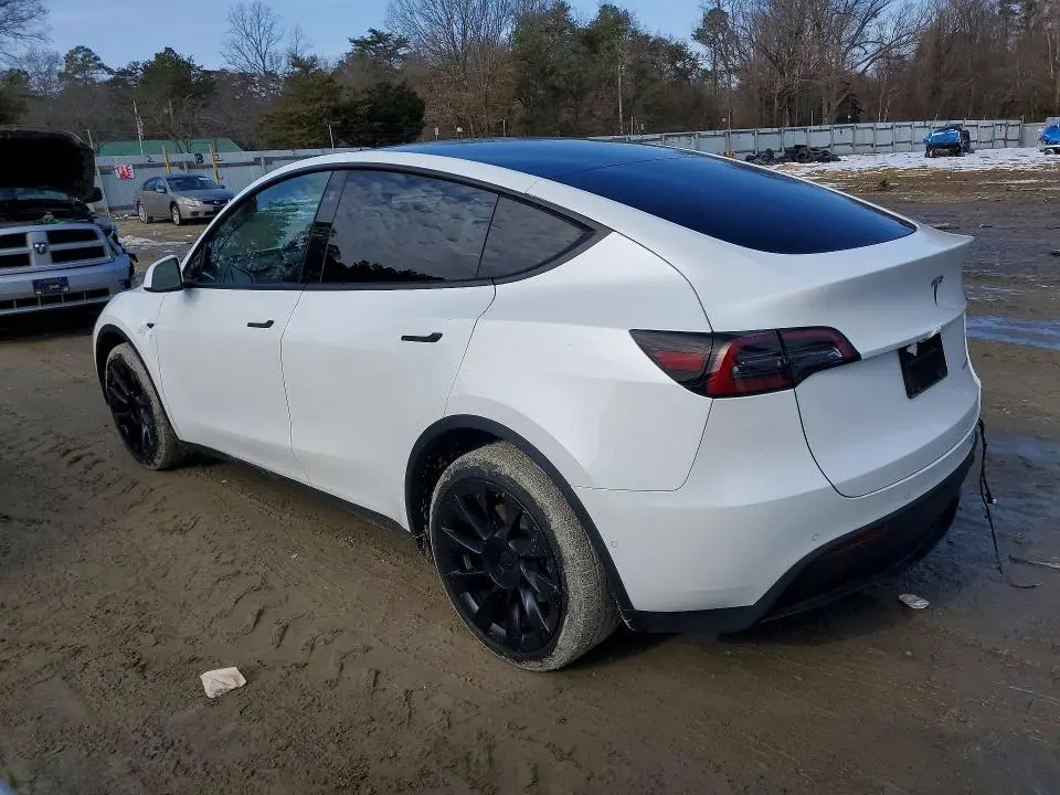 2022 TESLA MODEL Y   