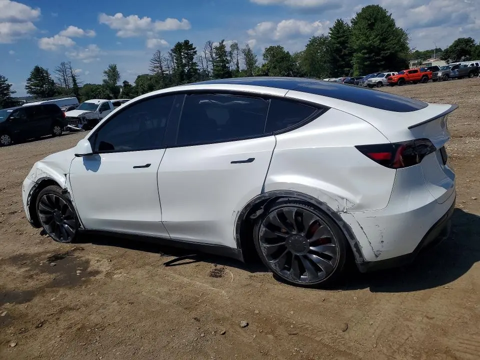 2023 TESLA MODEL Y   