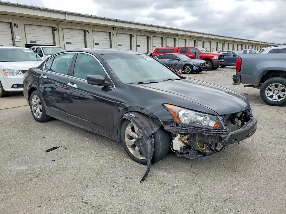 2010 HONDA ACCORD EXL  