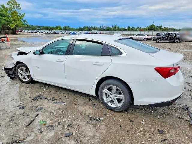 2024 CHEVROLET MALIBU LT  