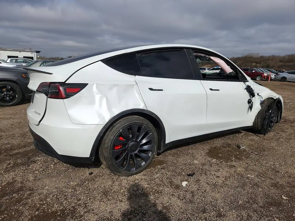 2025 TESLA MODEL Y   