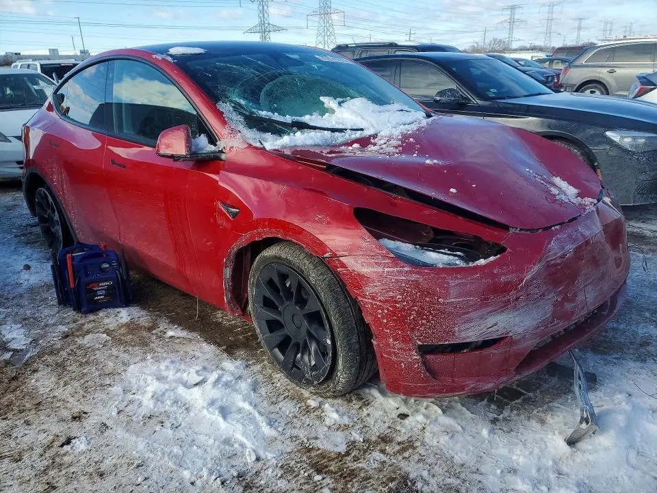 2023 TESLA MODEL Y   