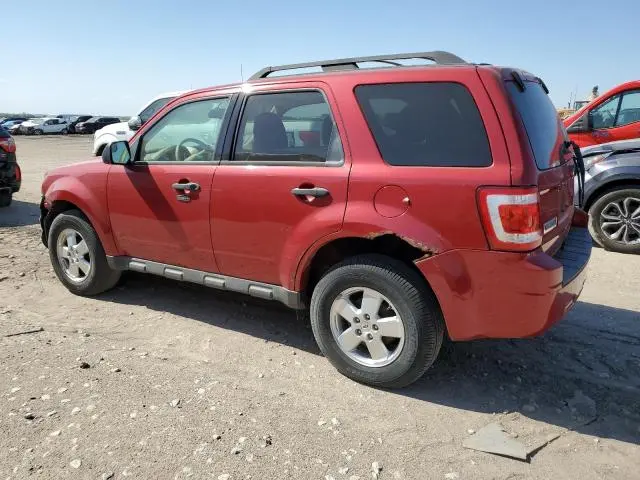 2011 FORD ESCAPE XLT