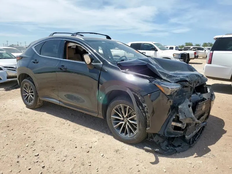 2023 LEXUS NX 350  