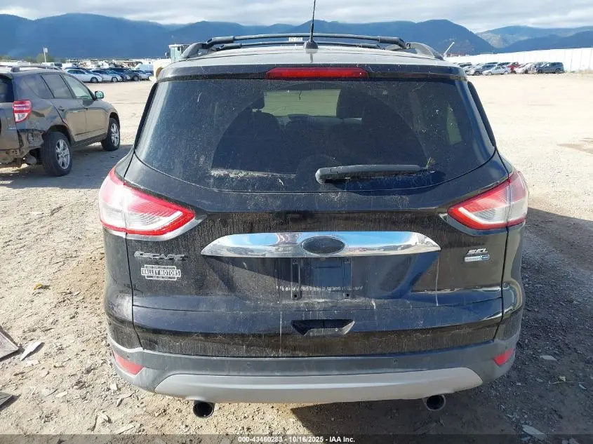 2013 FORD ESCAPE SEL