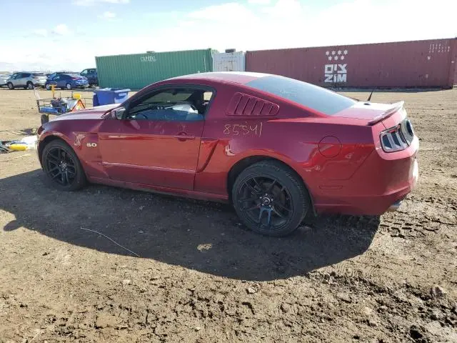 2014 FORD MUSTANG GT  