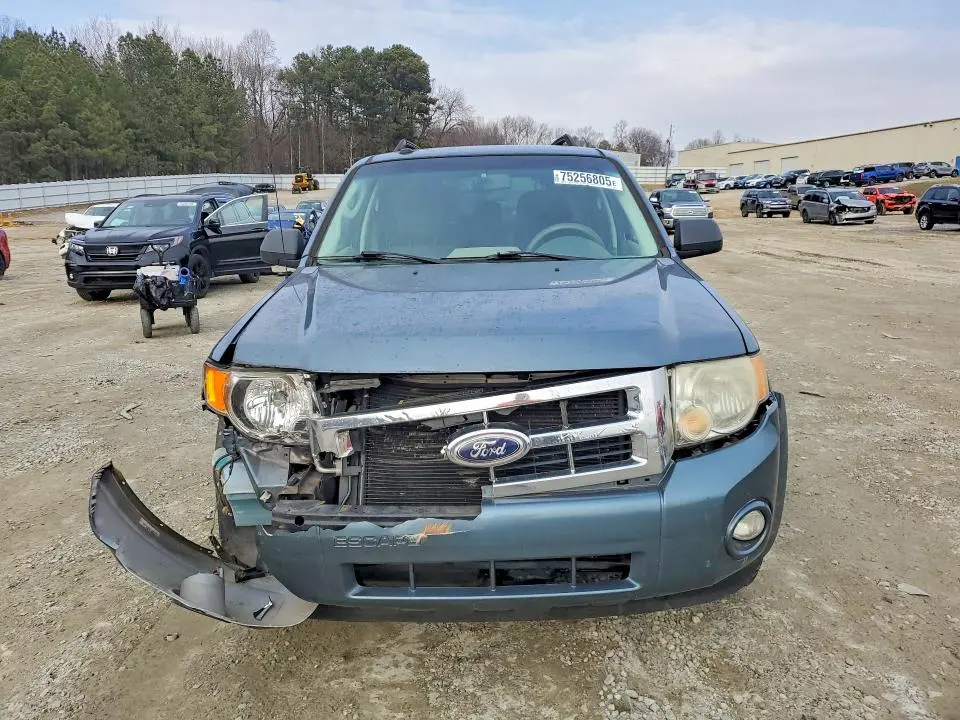 2010 FORD ESCAPE XLT  