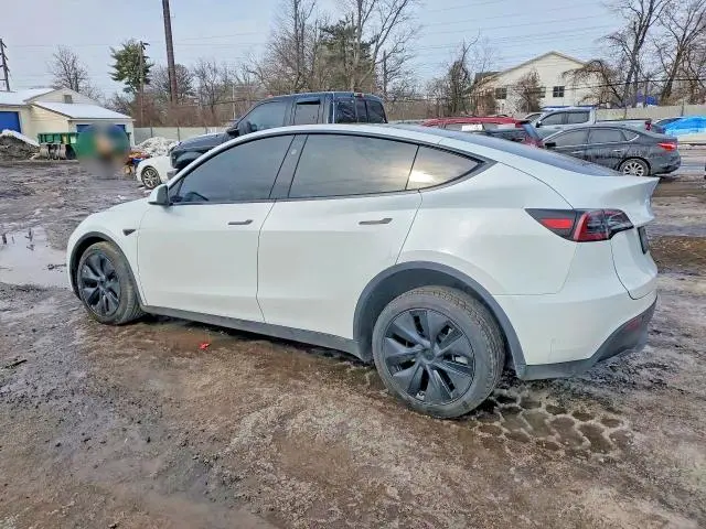2025 TESLA MODEL Y   