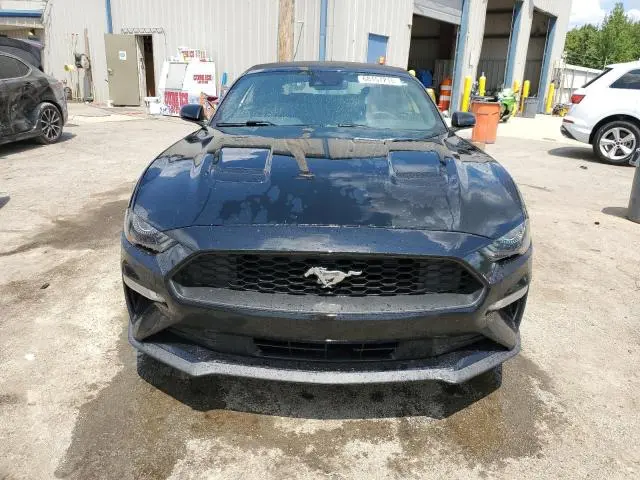 2019 FORD MUSTANG   