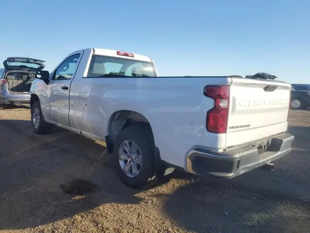 2019 CHEVROLET SILVERADO C1500  