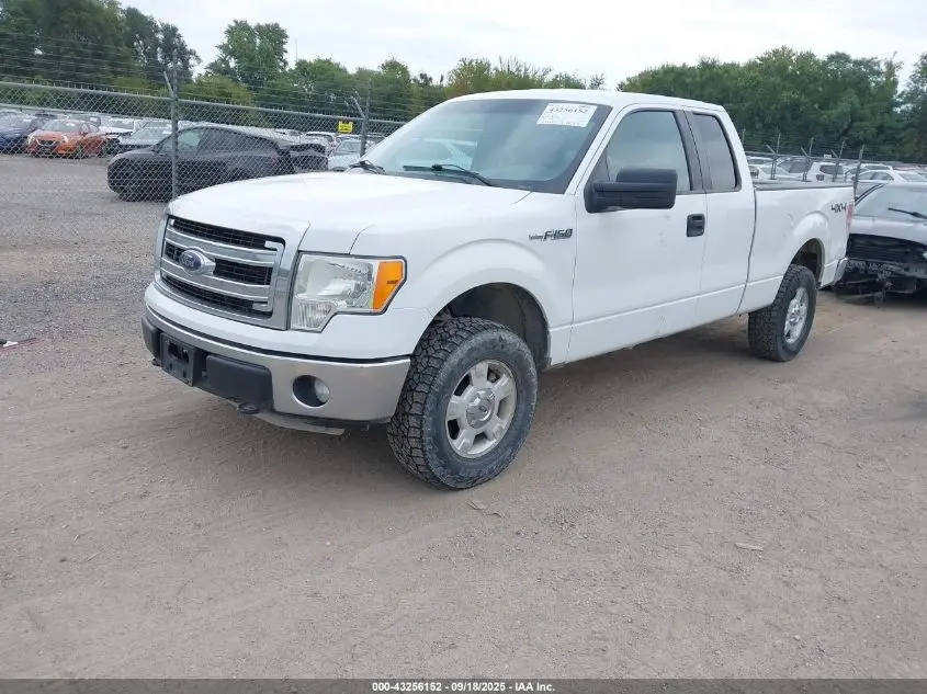 2013 FORD F-150 XLT