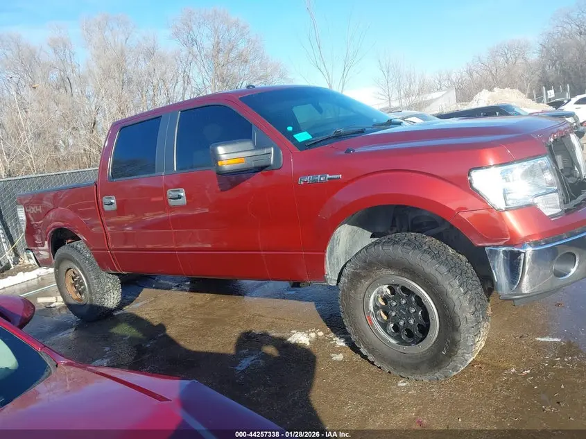 2014 FORD F-150 XLT