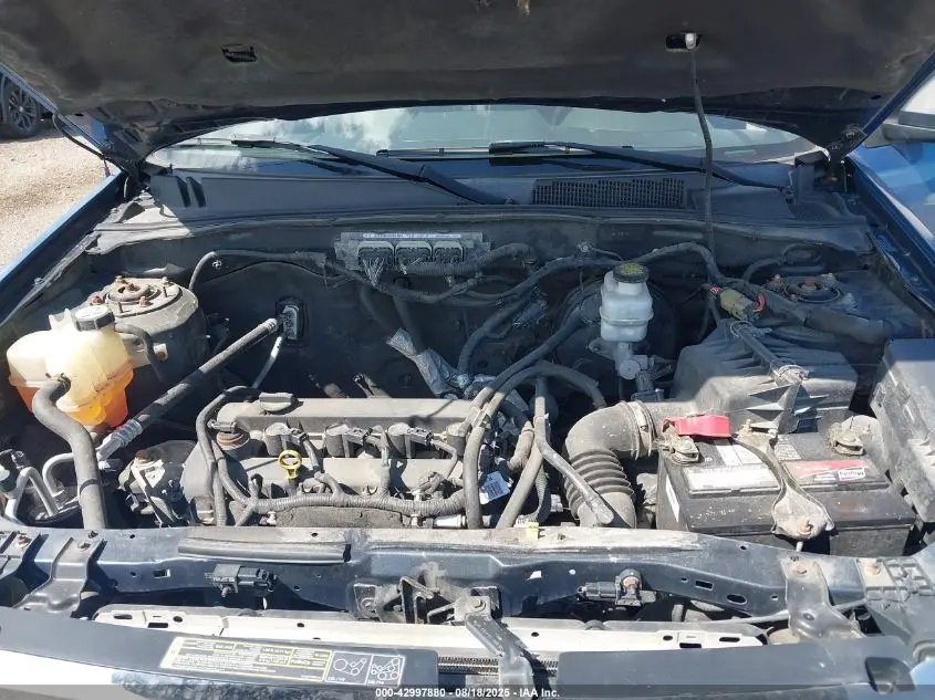 2010 FORD ESCAPE XLT