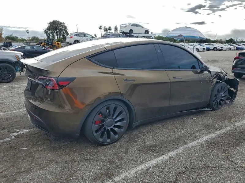 2025 TESLA MODEL Y   