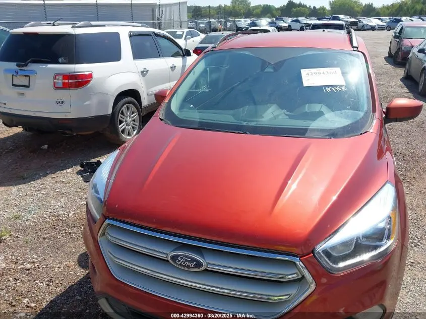 2019 FORD ESCAPE SEL