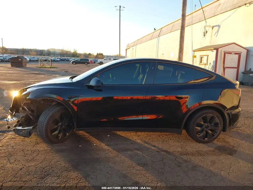 2024 TESLA MODEL Y RWD