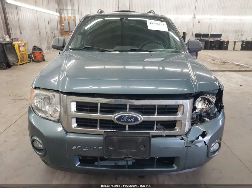 2011 FORD ESCAPE XLT