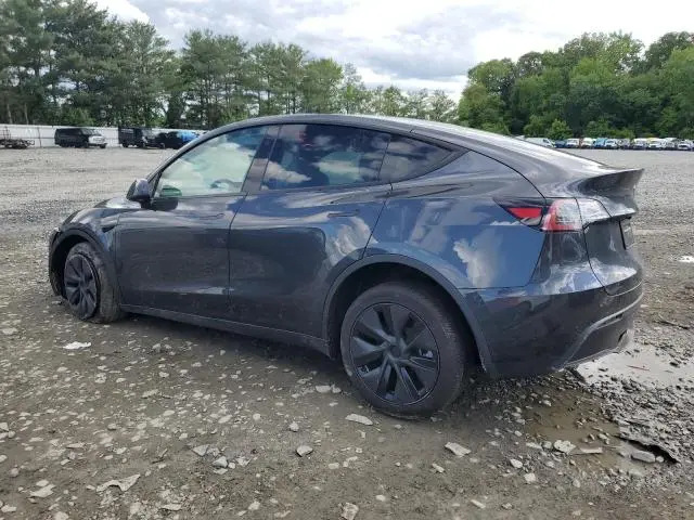 2025 TESLA MODEL Y   