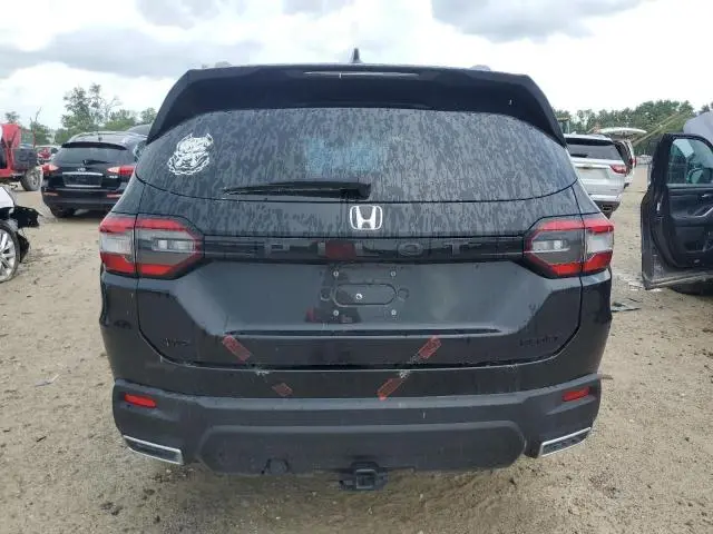 2024 HONDA PILOT SPORT  