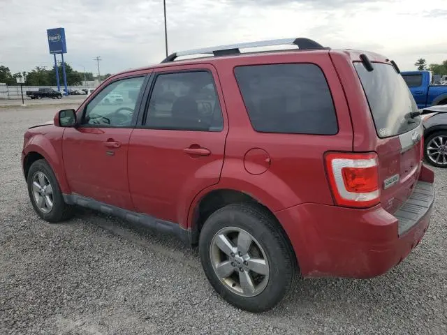 2011 FORD ESCAPE LIMITED  