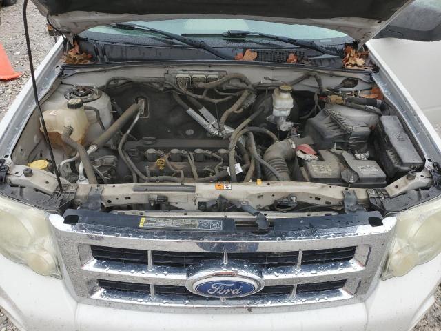 2010 FORD ESCAPE XLT