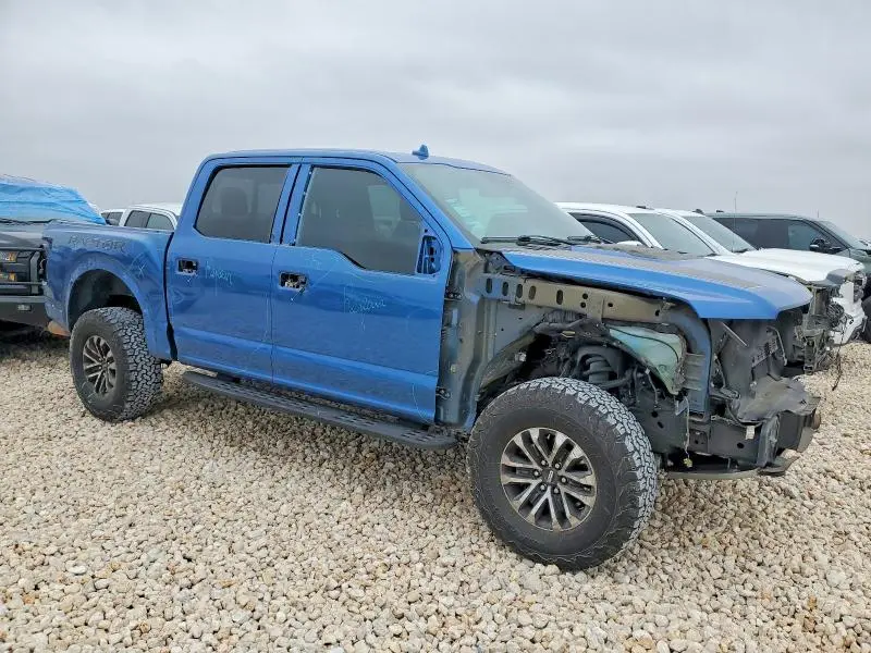 2019 FORD F150 RAPTOR  
