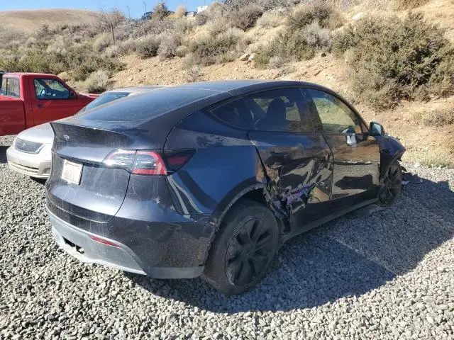 2025 TESLA MODEL Y   