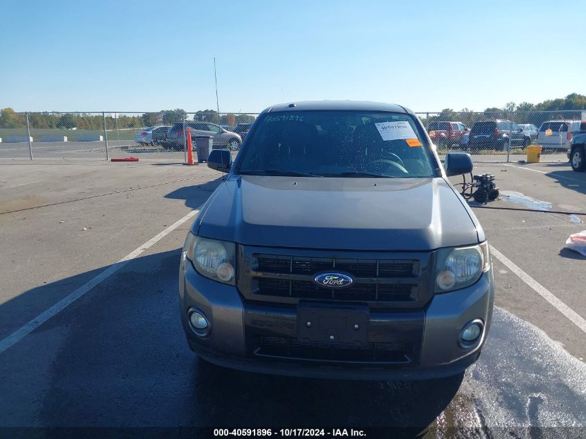 2011 FORD ESCAPE XLT