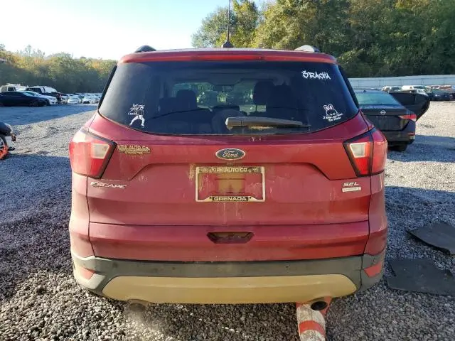 2019 FORD ESCAPE SEL  