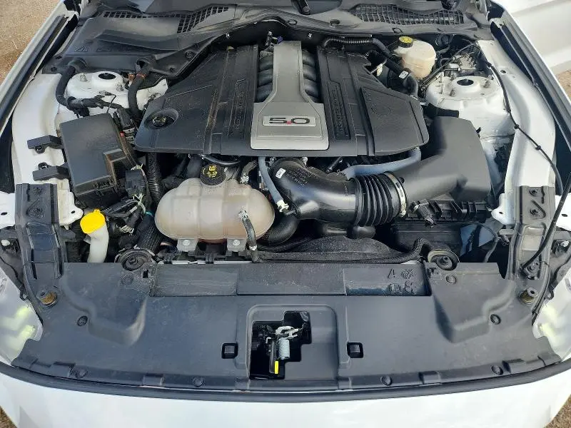 2019 FORD MUSTANG GT  